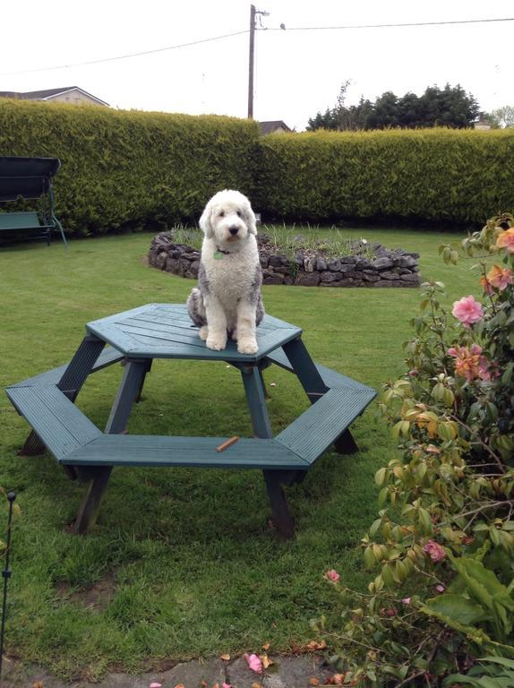Riverwalk House B&B Oughterard Oda fotoğraf
