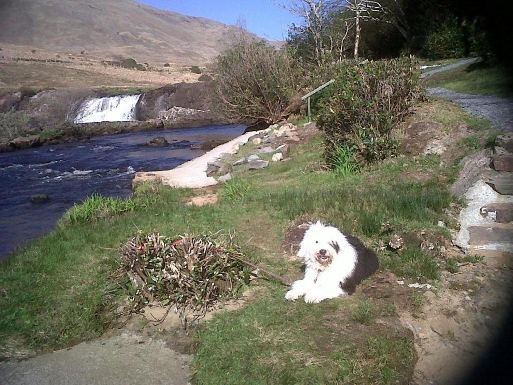 Riverwalk House B&B Oughterard Dış mekan fotoğraf