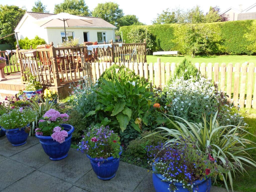 Riverwalk House B&B Oughterard Dış mekan fotoğraf