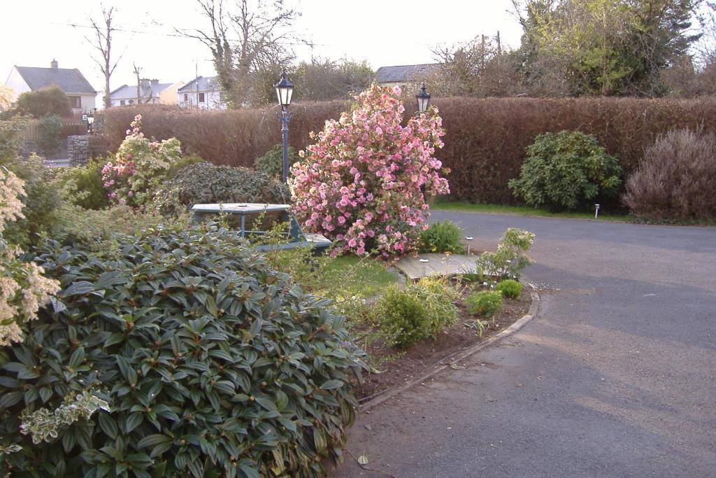 Riverwalk House B&B Oughterard Dış mekan fotoğraf